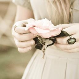 Coração de Flor? Se uma flor é tão sensível, imagina se tivesse coração. Poderia ser comparado ao coração de um humano. E a flor, o humano. ~me