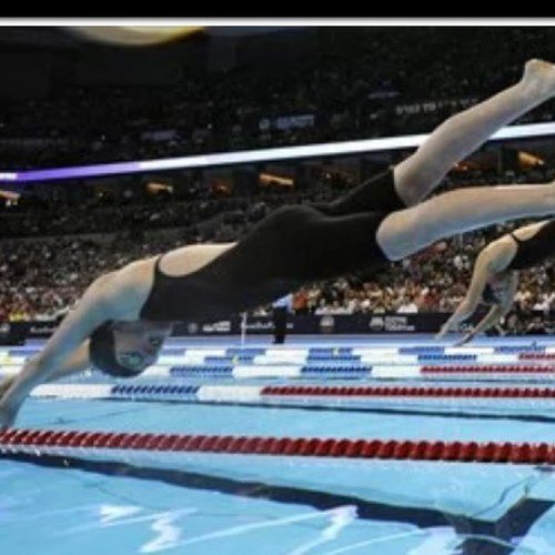 Just keep swimming