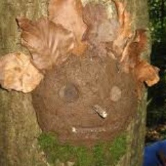 Early Years Adviser - Forest School and Language Dev.specialist. Interested in new fun ideas and research into early years practice
 r.livesey@gov.je