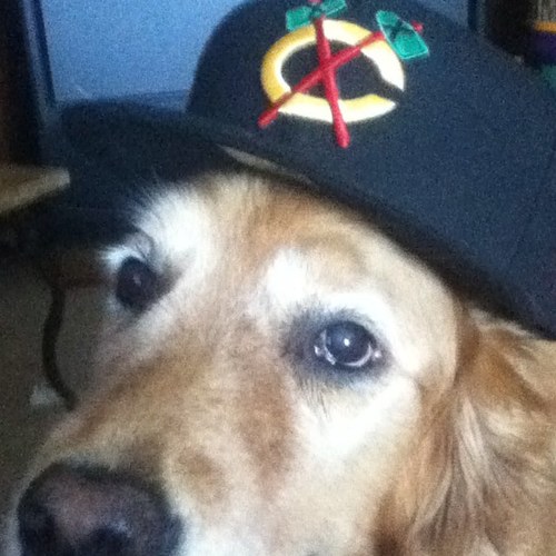 DannyIceBerg's profile picture. I love you