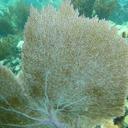 Roberto Lepe - @PEOaxaca - Twitter