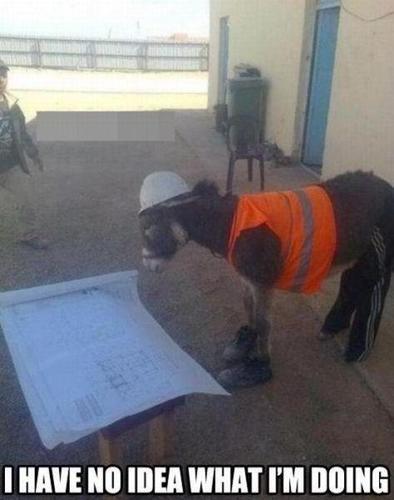 CEO for LazarusConstructionAndRefurbishment(Ltd)
