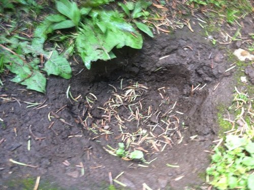 MillHollow1's profile picture. 