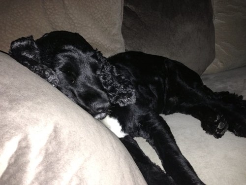 Caitie077's profile picture. 