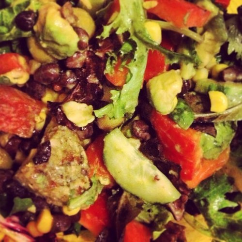 KaleKhronicles's profile picture. #KaleKhronicles #Kale
Kale is delicious and very good for you. Leave pictures and comments about this lovely green veggie here.