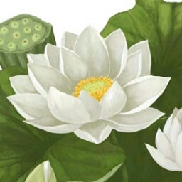 winoaya's profile picture. ★職：グラフィックデザイナー★好：猫.格闘技.酒.（白ワインならツェラーカッツ♪日本酒なら獺祭♪）アメドラ（プライベートプラクティス、シェイムレスand　More）画家:クリムト、ジャッキーマリーボーグ★出没先：恵比寿★悩み：酔って記憶を喪失する★只今なんだか色々勉強中〜(・o・)ゞ