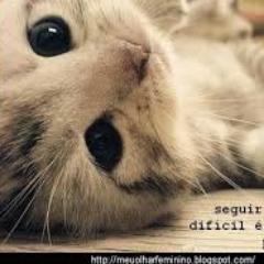#FollowBack #FollowMe Sigo todos de volta