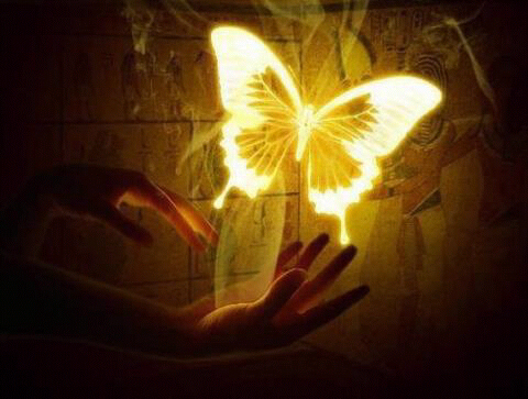 MamichulaVita's profile picture. 