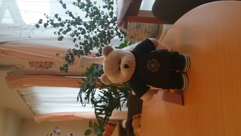 tsuyo1027autho1's profile picture. 