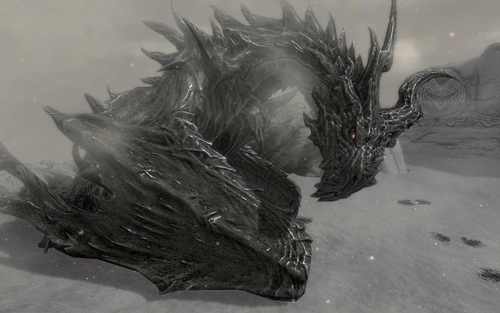 dragons are my life