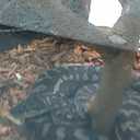 Wayne Arthur Ritchie - @bear16_65 - Twitter