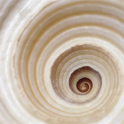 Action is a Powerful Force Commit to One Act of Kindness a Day & Watch the Spiral of Kindness Span the World! Join the Movement Spiral Blueprint