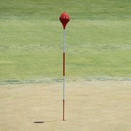 wongpharmd's profile picture. 