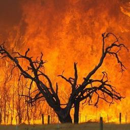 Keeping up with all Wildfires in California!