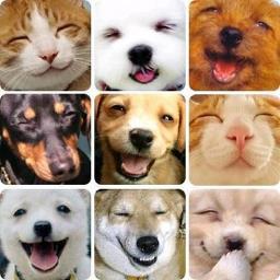 丸の内OLのレインです。Twitterはいろいろ勉強して詳しくなりました。銀座のレストランオーナーさんに、今日のランチメニューをツイートしたらいいですよ♪とオススメしたらその後大感謝されました。今ではTwitter関連のお仕事もするようになり、皆様にお役立ち情報をシェア☆したいなって思ってます。相互100％