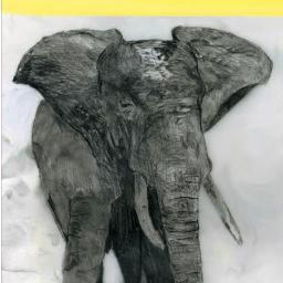 goodmachinery's profile picture. design studio/contemporary jewelry.