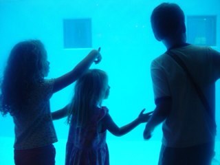 betaPbeta's profile picture. 