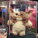 Robin Welsh - @RobinWelsh6 - Twitter