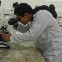 futuro Engenheiro Biomédico.