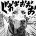Keeper (@galriver) Twitter profile photo
