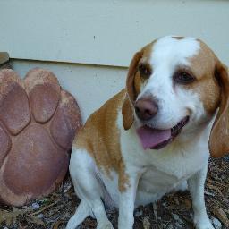 Valpowen23's profile picture. Learn from yesterday, Live for today, Hope for tomorrow:)