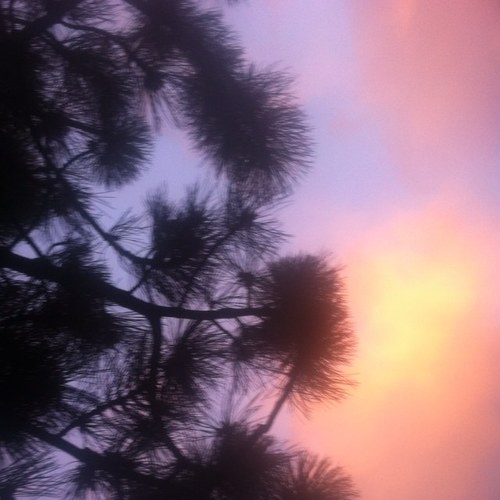 naturefanatic_'s profile picture. a spiritual aries