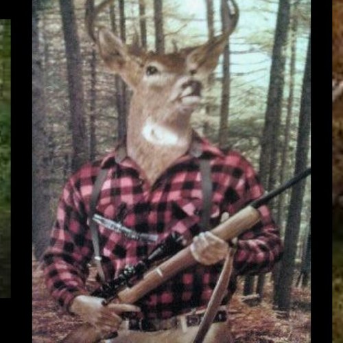 Halfdeer's profile picture. 