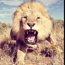 Cole Estes - @ColEstes - Twitter