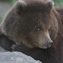 Johan - @StevenBeckstead - Twitter