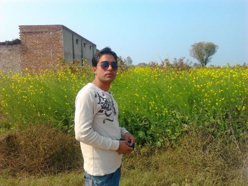 dharmendra15619's profile picture. 