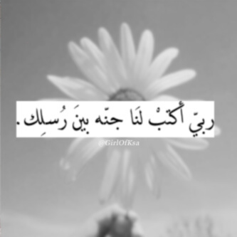 آخاف عليهم من عثرات الحياة فأنشئت لهم هذا الحساب ليكون شفيعا لهم يوم نبعث .. من أجلهم، ولأجلهم، إلى أن أمسك بيدهم لندخل الجنه معاً @shooshkay & @MBK_Althani