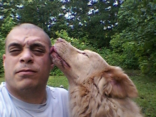 WarBear59's profile picture. 