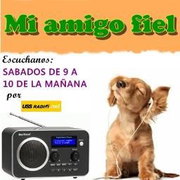 Mi amigo fiel, un programa donde te daremos consejos y tips para mantener contenta a tu mascota. Producido por los alumnos de III ciclo de Cc.cc