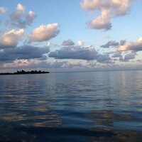 Mac Eljamal  (@maceljamal) 's Twitter Profile