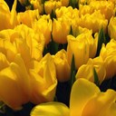 Ada Luz Esquivel - @AdaLuzEsquivel - Twitter