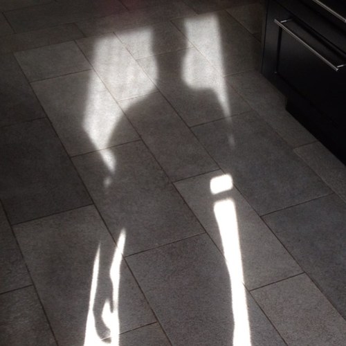 IowaSchmidt's profile picture. Just another Michael Schmidt.