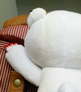 waaataruuun's profile picture. 来世の夢は不労所得で生活することです。ぽこぴー🍃🥜を見て