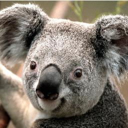 Hi. I'm Ola. I like: survival, football, magic and people. 
I love my BFF PaulinaD!