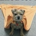 sally randolph - @sallyannrandolp - Twitter