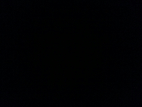 ClaudiaVerwijm1's profile picture. 