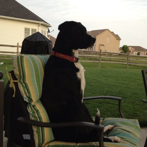 tlmeyers3a's profile picture. 