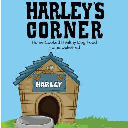 One-of-a-kind 'Dog Chef', Certified Canine Nutritionist, Owner of Harley's Corner! Love biking, wines and chilling with my 2 dogs, Harley & Pixie