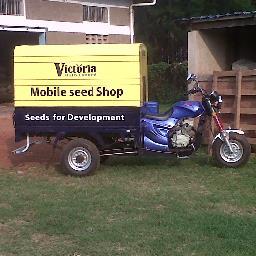Victoria Seeds Ltd is the leading seed company in Uganda. More than 900 farmers, mostly women, grow seeds for the company.