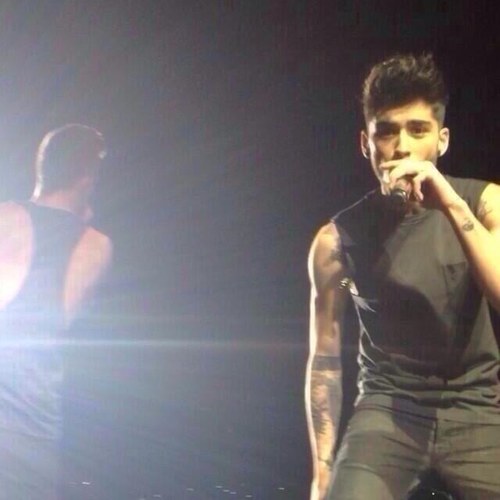 zaynhercules's profile picture. @duckyharold