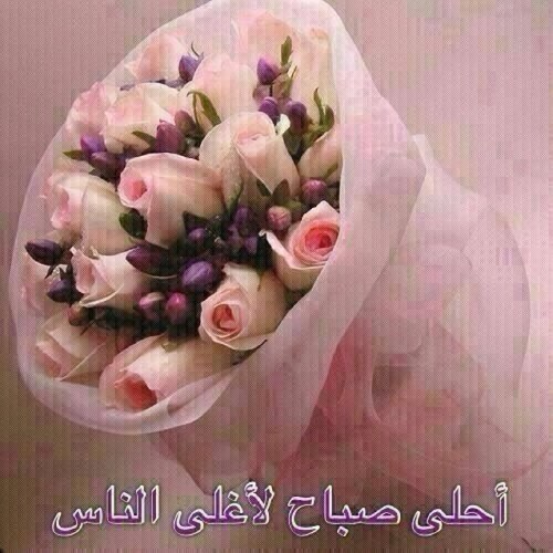 انسانه بسيطه اكتب خاطره قد اسعد كل احبتي واعشق الشعر والبسمه.            والامل اجمل مافي حياتي