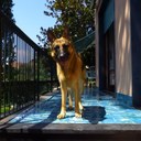 Elena Pisani (@06ele) Twitter