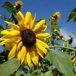 Anna-Katharina Graf Profile