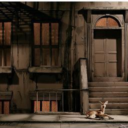 photographer, shooting advertising and great ideas! personal project blog here: http://t.co/Fkw6OObk