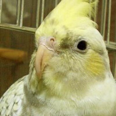 理王くん ちゃん Riou 0 Twitter 理王くん ちゃん Riou 0 Twitter