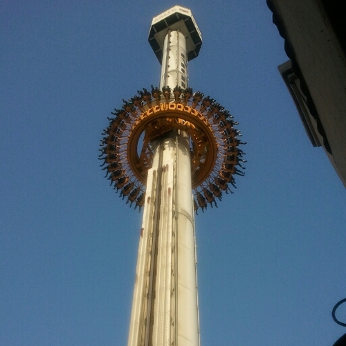 raintree817's profile picture. 28세/단국대 천안캠퍼스 졸업/취업준비중/